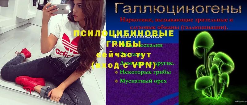 магазин продажи наркотиков  ссылка на мегу рабочий сайт  darknet формула  Верхний Уфалей  Галлюциногенные грибы Psilocybine cubensis 